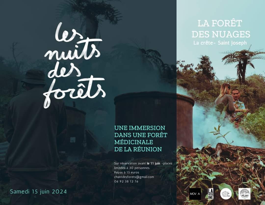 LES NUITS DES FORÊTS 2024 À LA FORÊT DE NUAGES